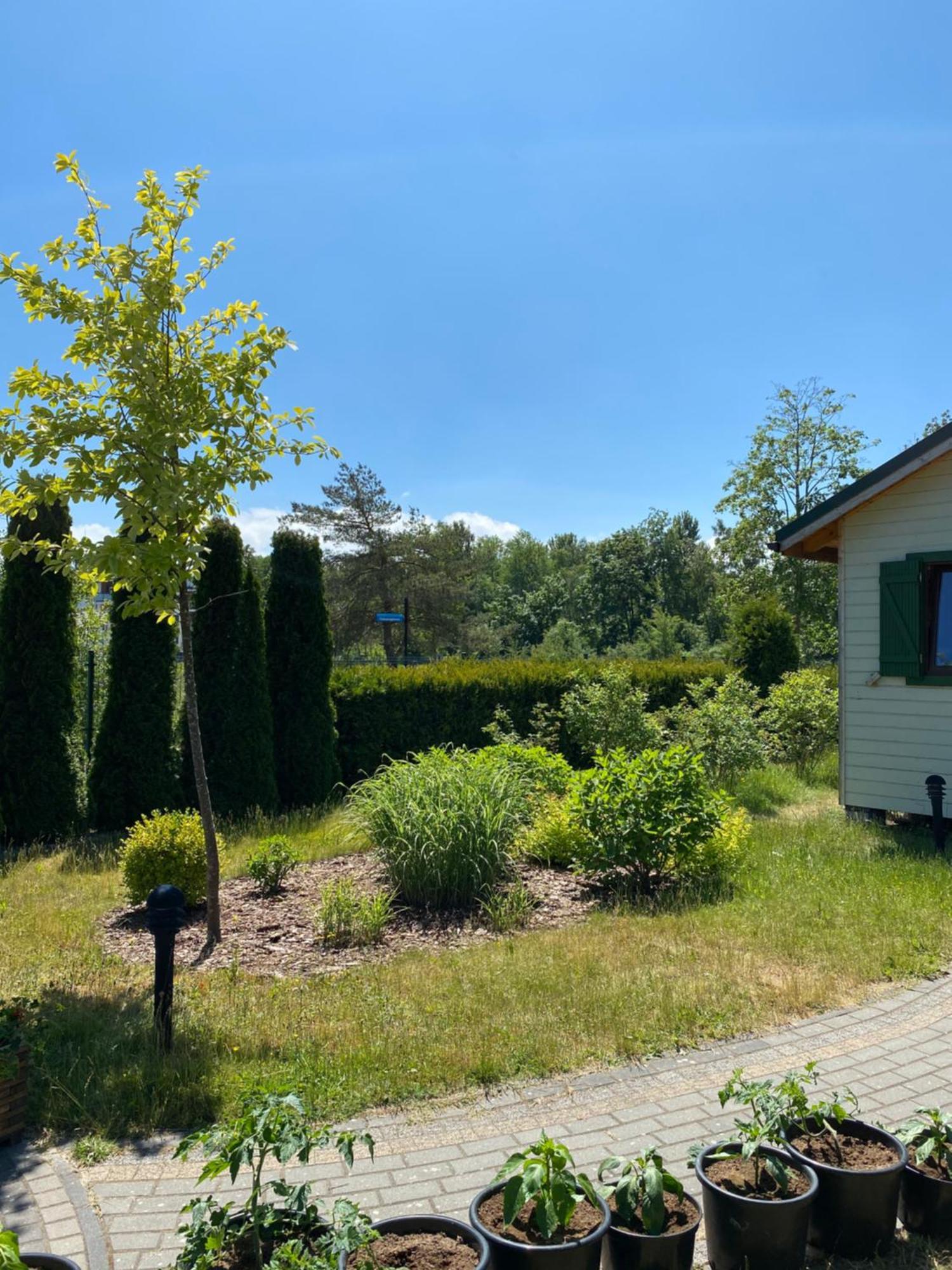 Sloneczna Polana Villa Mielno  Kültér fotó